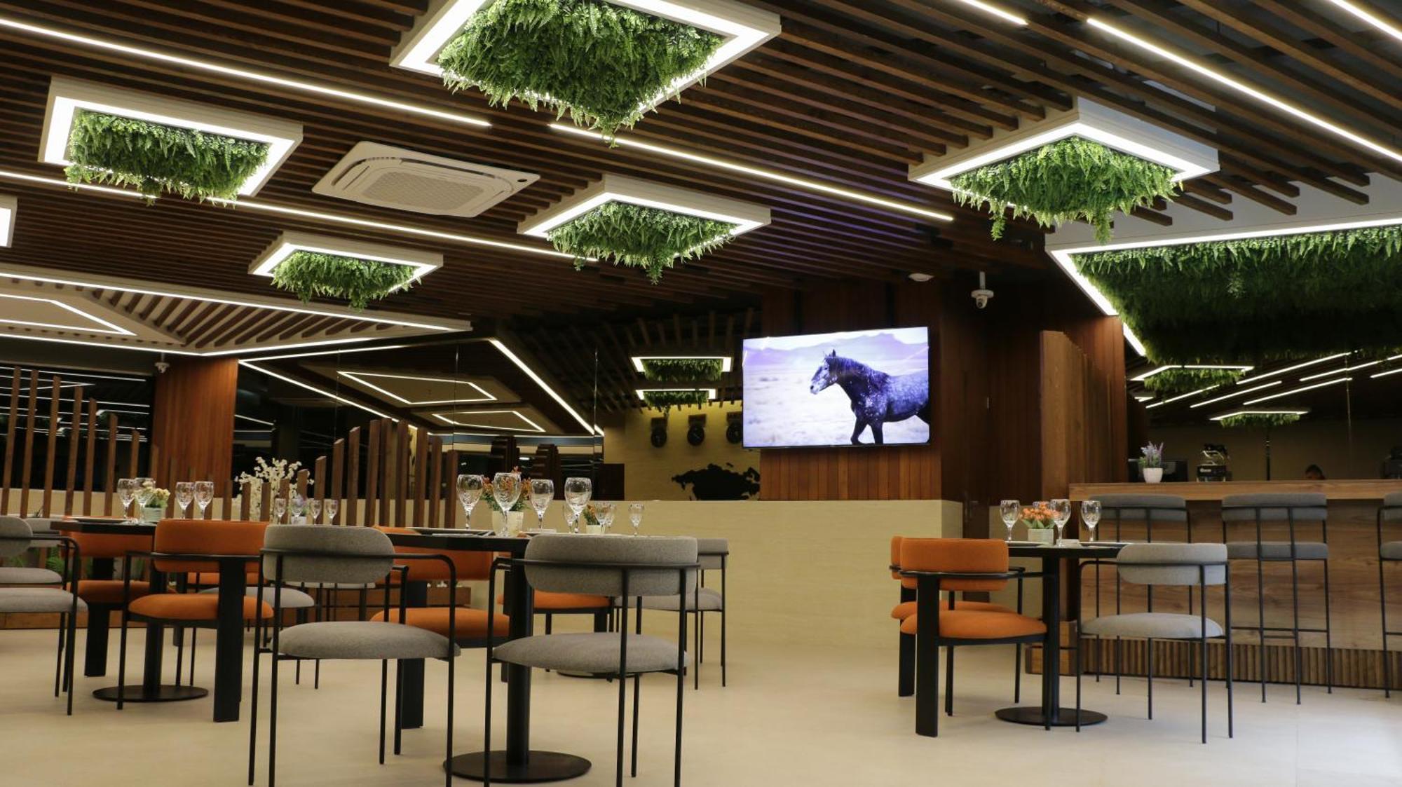 Tilia 4*